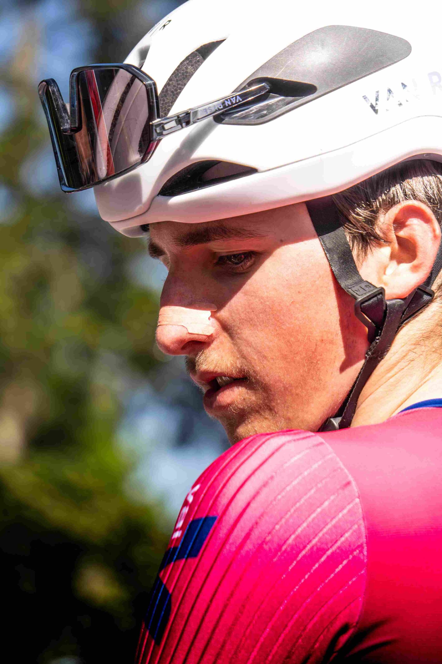 vallée verte 2025-177_46